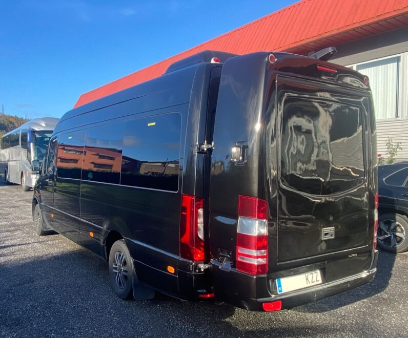 Mercedes Benz 316 – Autocuby LUX 9+C